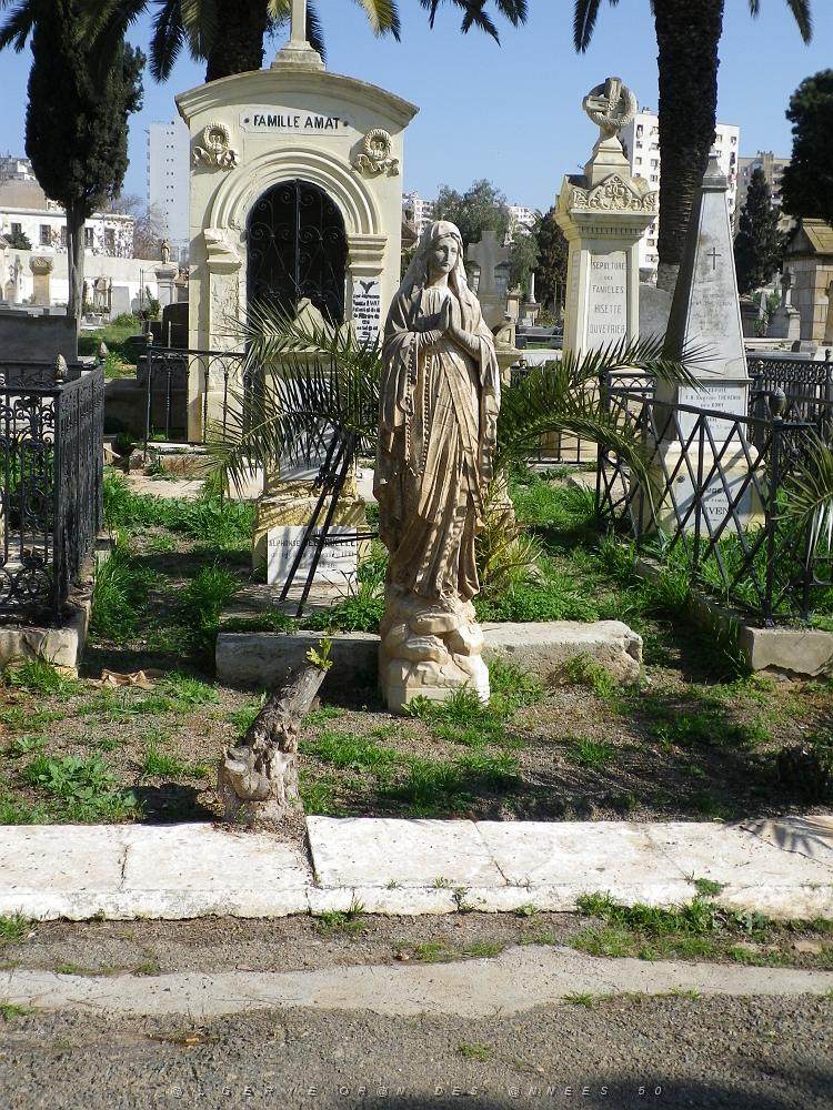 CIMETIERE DE TAMAZOUHET D ORAN EN MARS 2012  (161).JPG